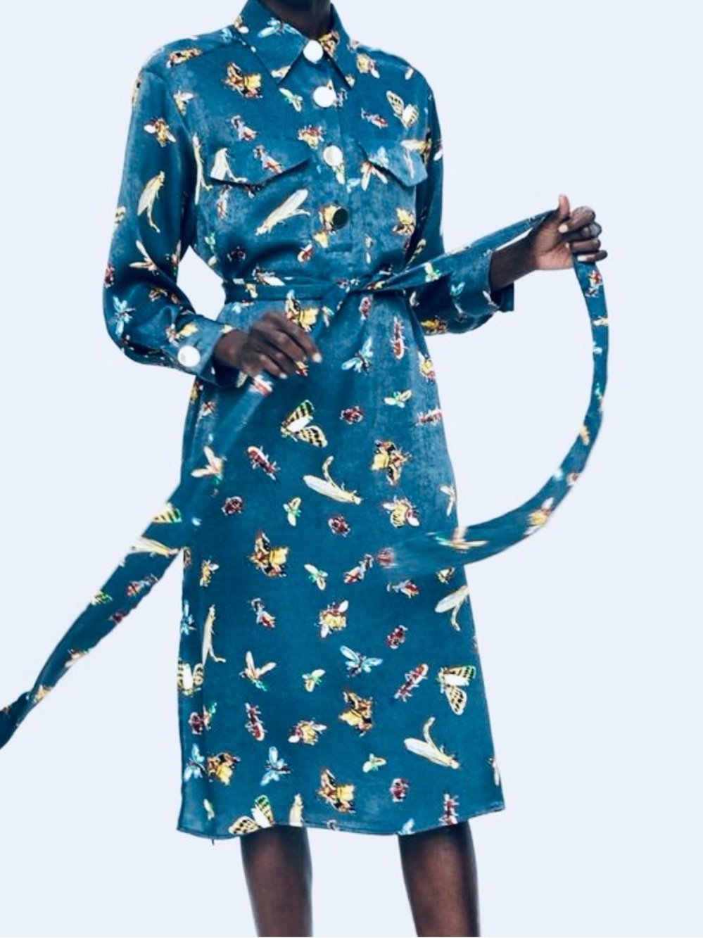 Zara | Belted Shirt Dress